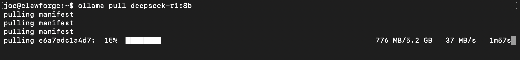 Terminal showing an Ollama model download in progress with a percentage, transfer speed, and time remaining