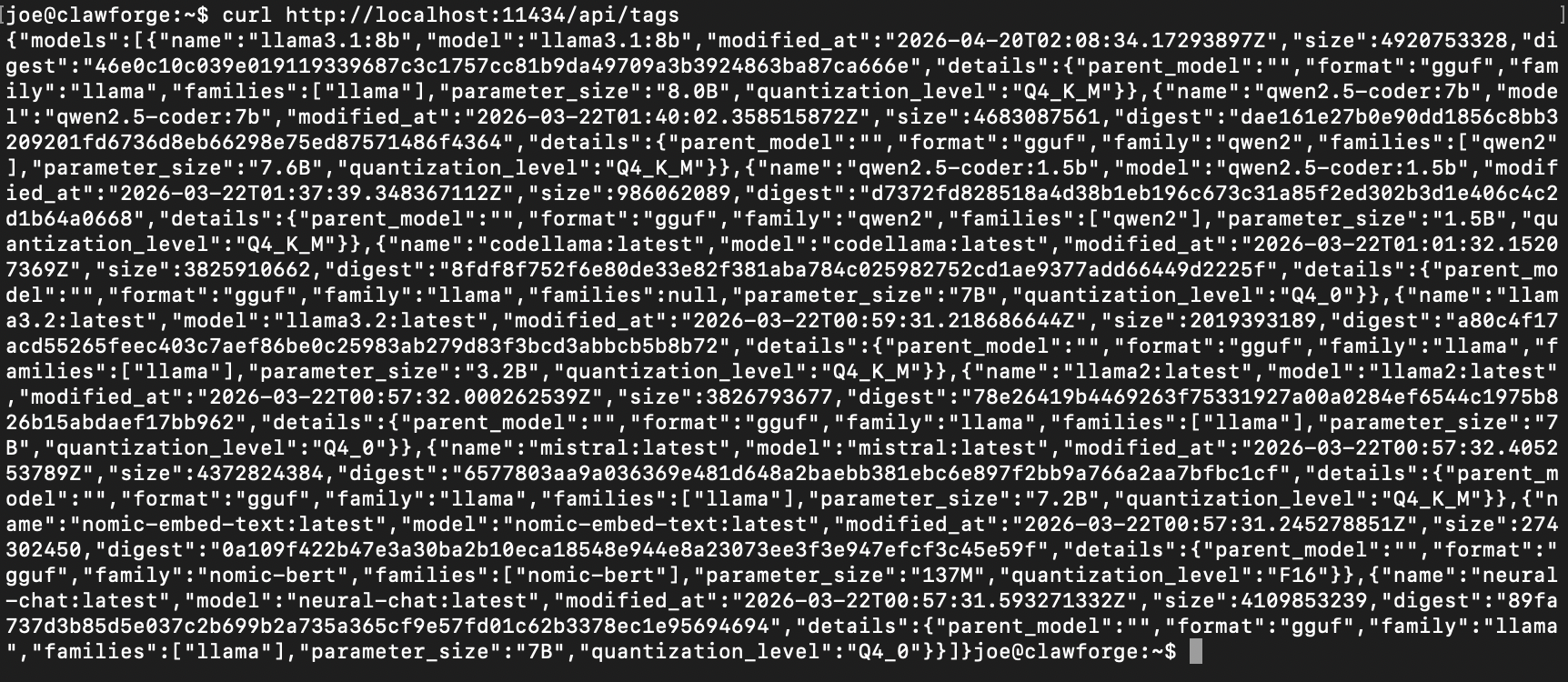 Terminal showing raw JSON output from curling Ollama's /api/tags endpoint, listing installed models